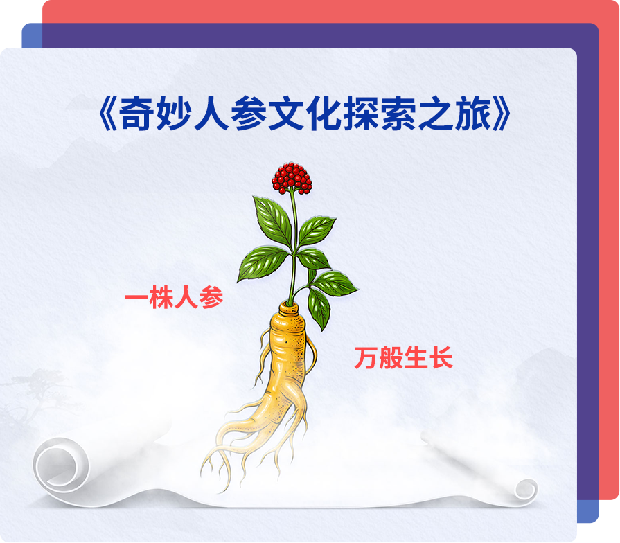 奇妙人参文化探索之旅