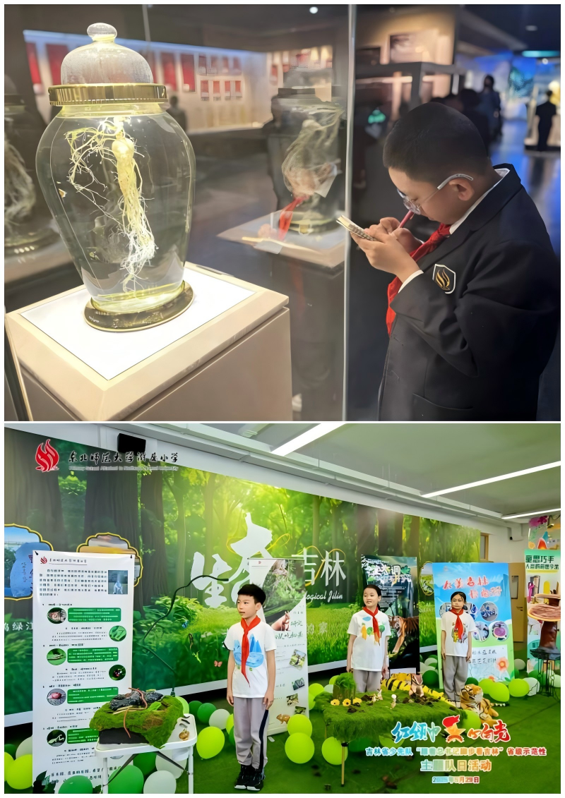 WPS拼图3.png