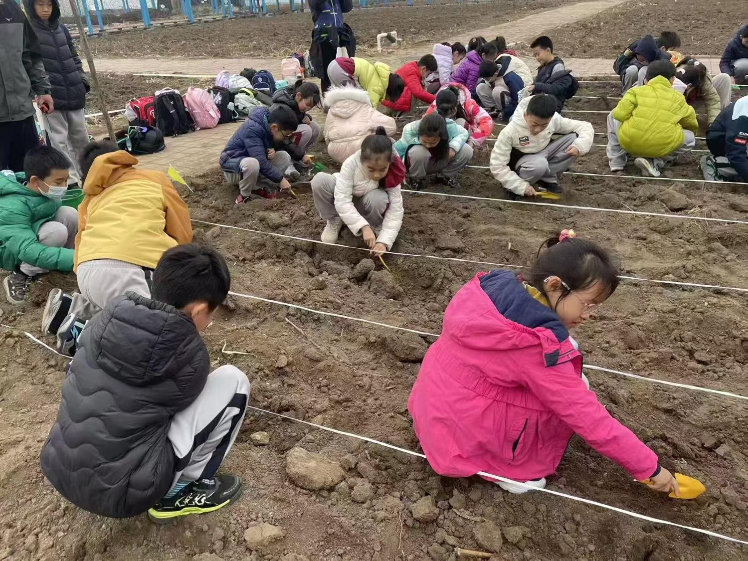 第二模块：单元课程资源重构与文本解