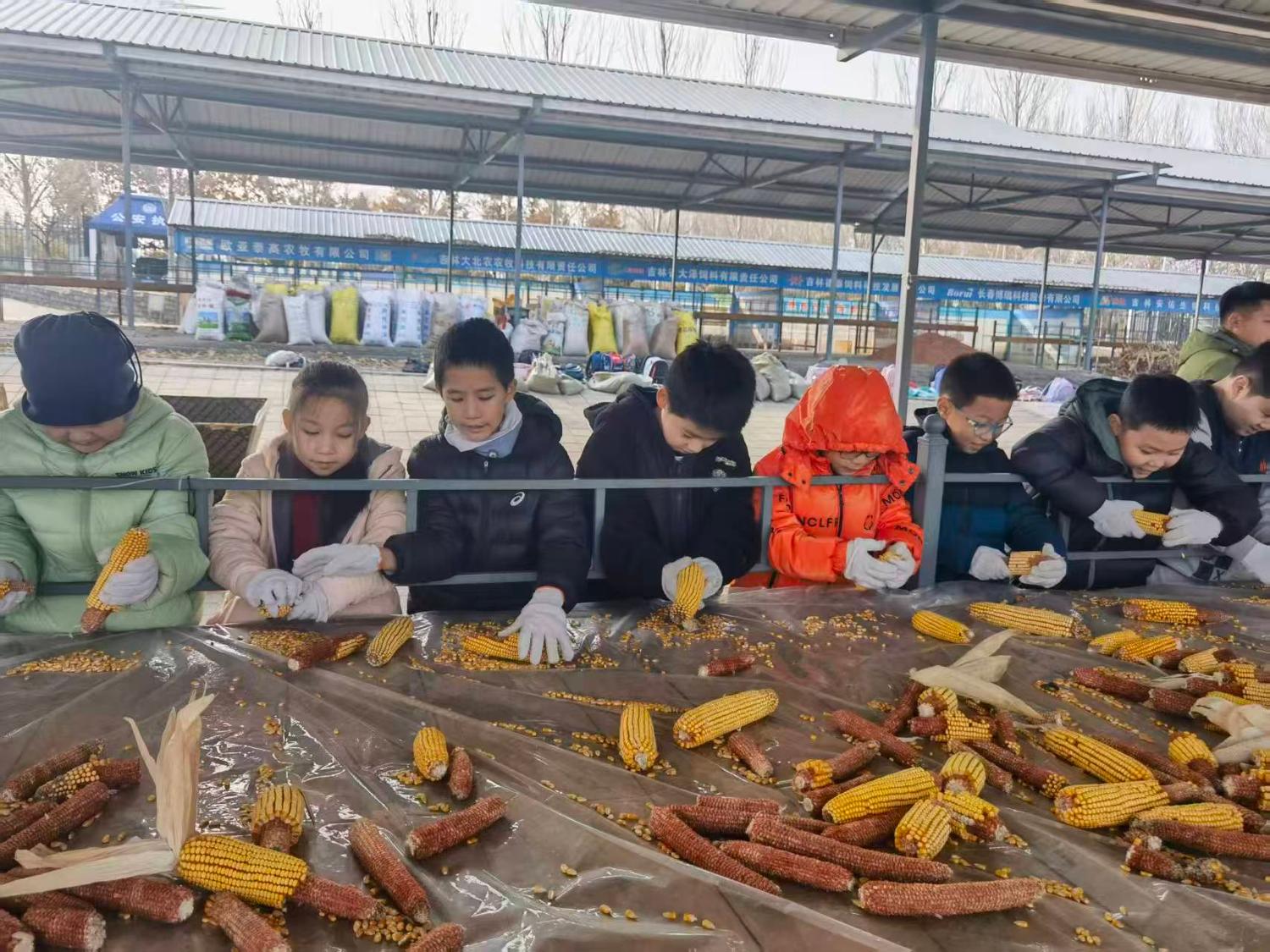 第二模块：单元课程资源重构与文本解
