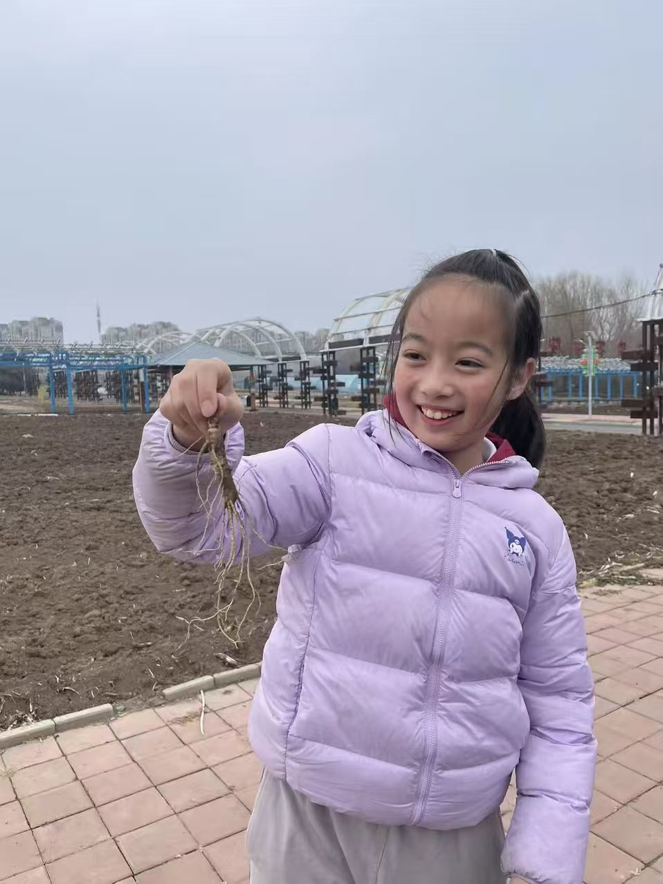 历程一：走进人参研学基地（识参 · 采参 · 第一课）
