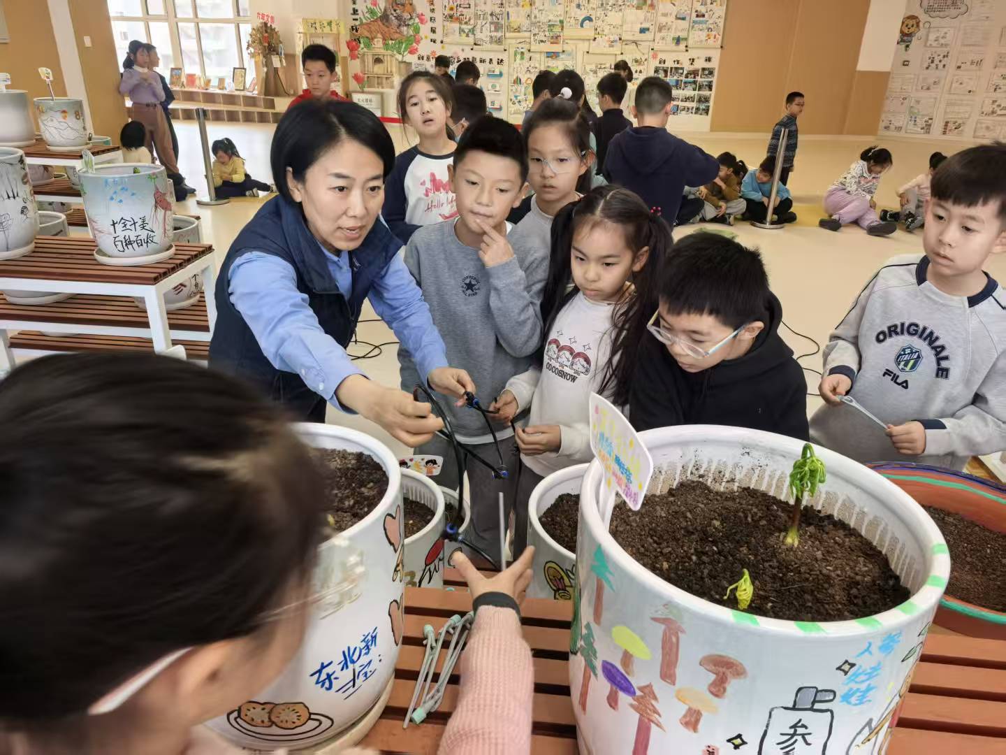 历程二：亲手种下一株参（种参 · 养护 · 认识年份）