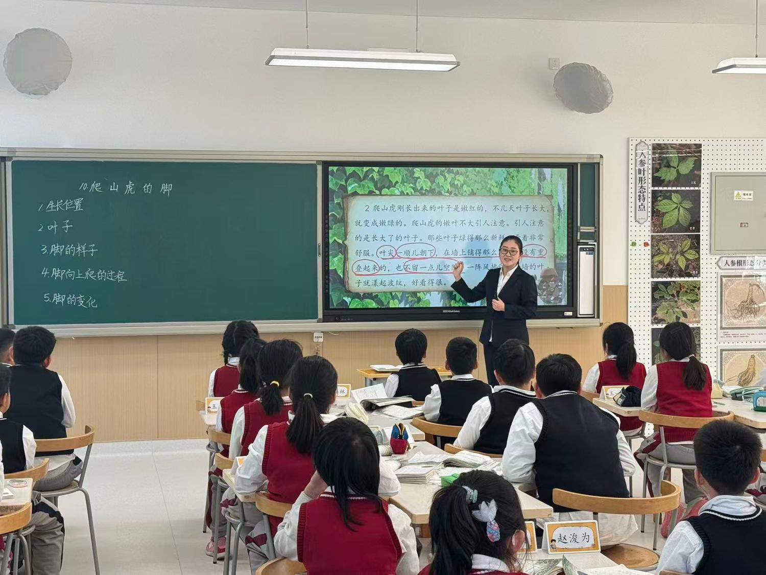 历程三：在观察中学会写作（观察 · 读《爬山虎的脚》 · 写日记）