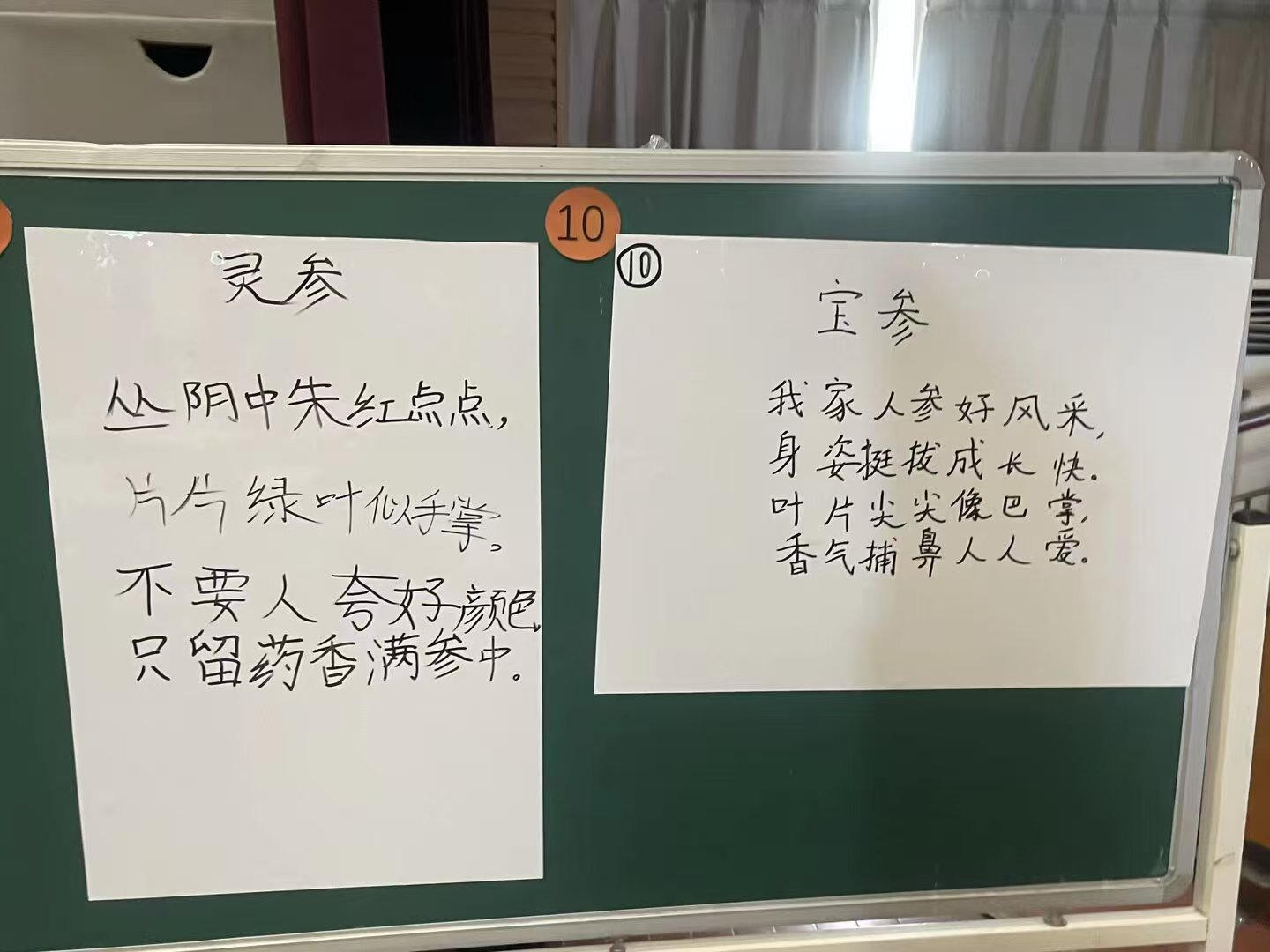 【人参诗歌学生作品】