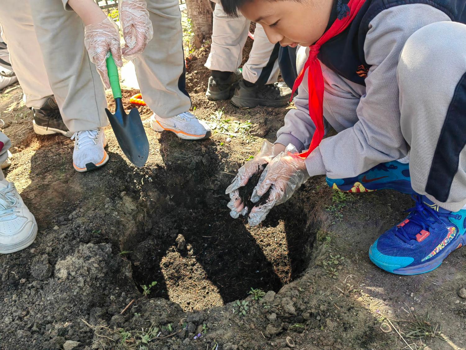历程二：亲手种植——专家指导下的参苗种植与养护