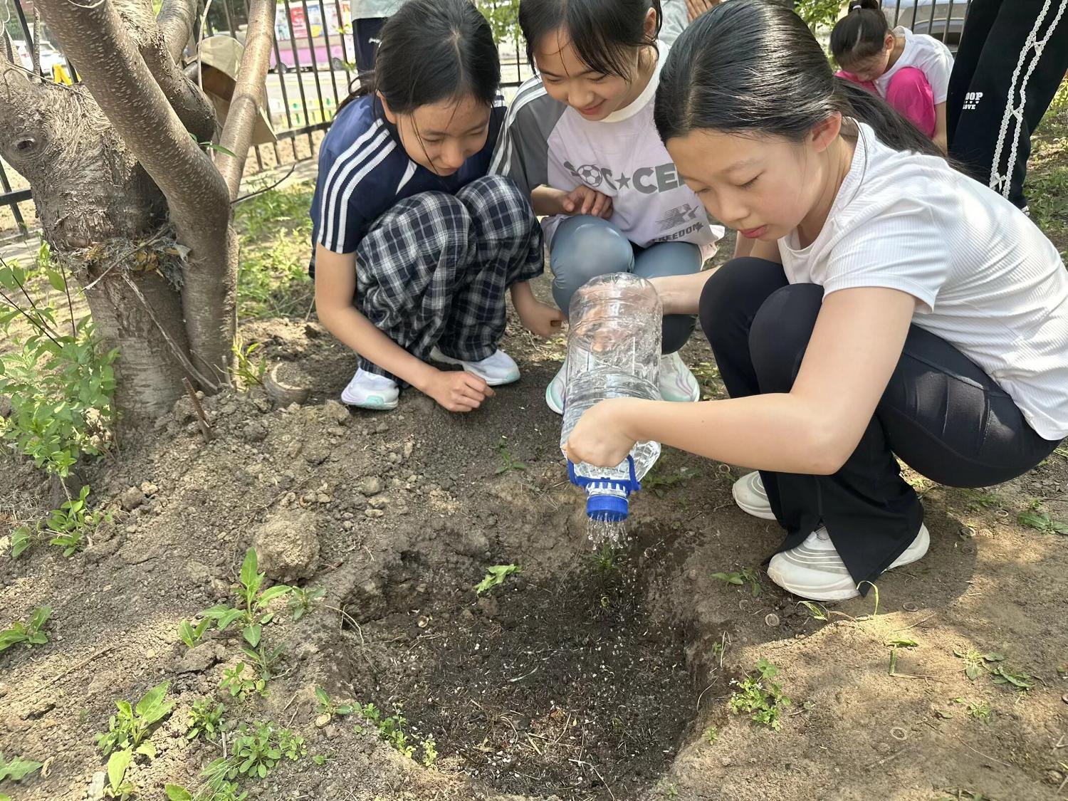 历程二：亲手种植——专家指导下的参苗种植与养护