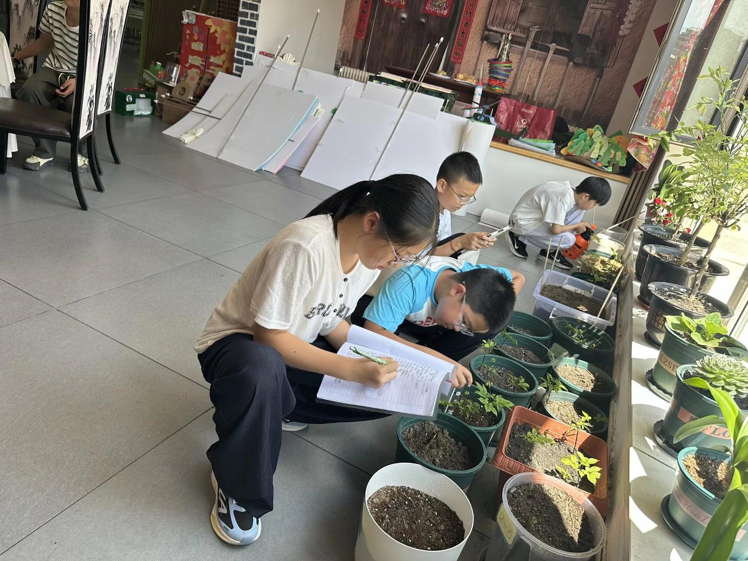 历程三：室外生态园——勘察与数据归因