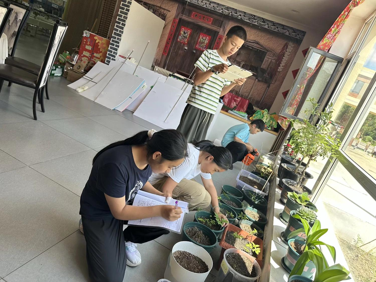 历程三：室外生态园——勘察与数据归因
