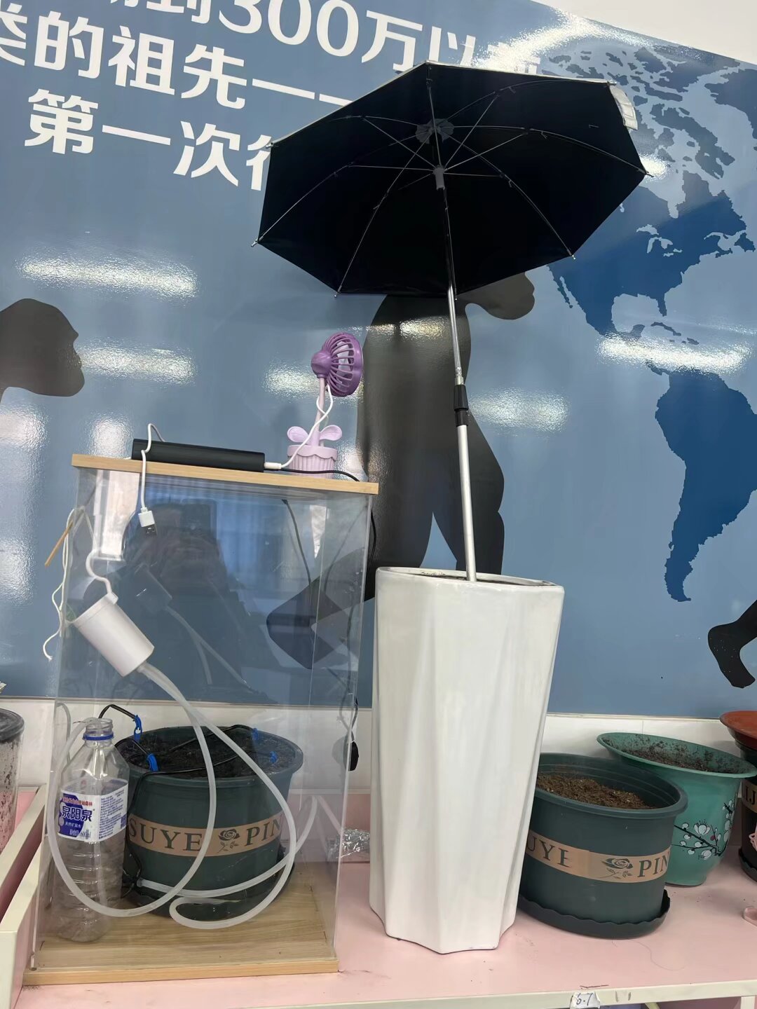 照片
