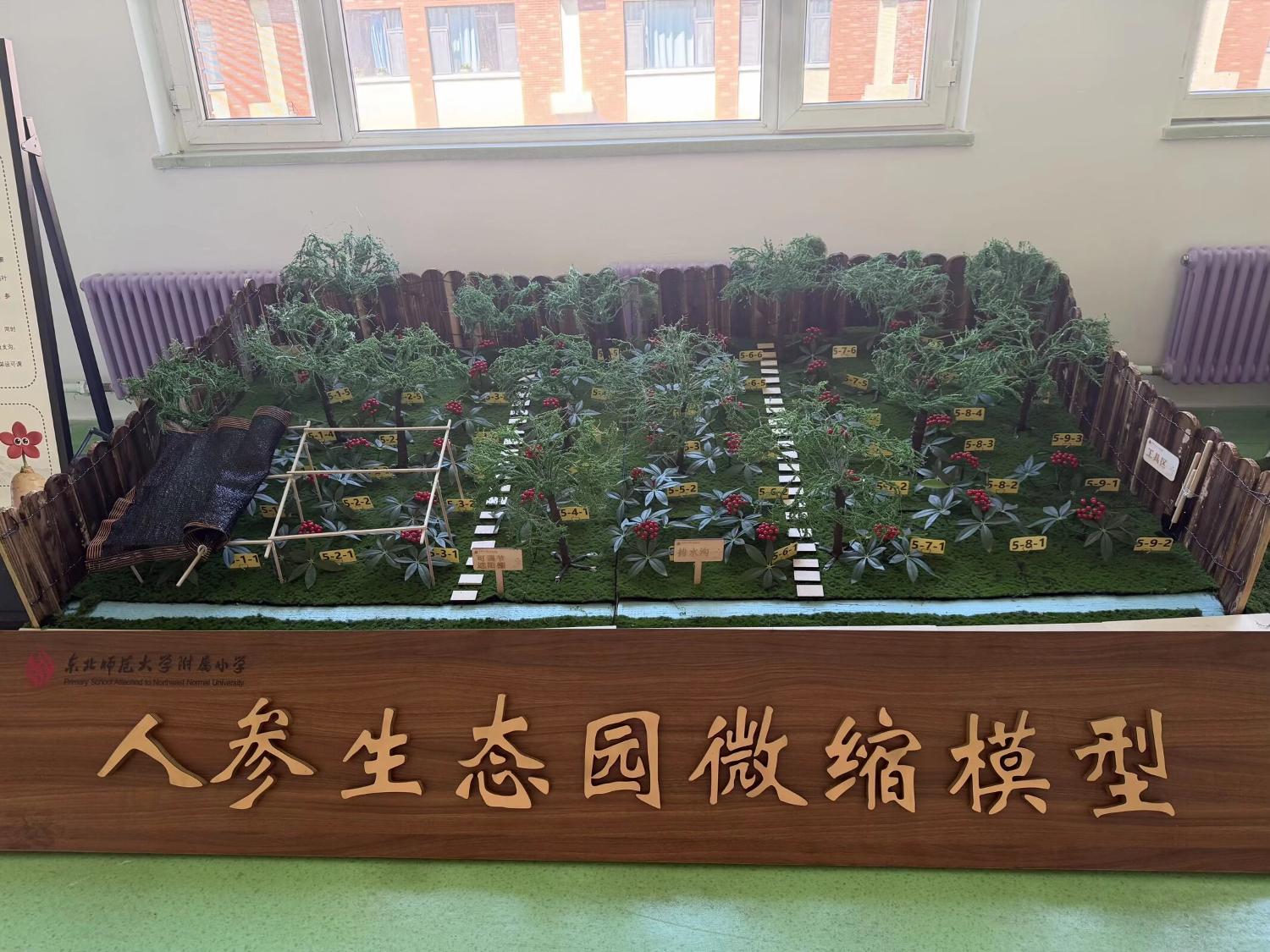 照片