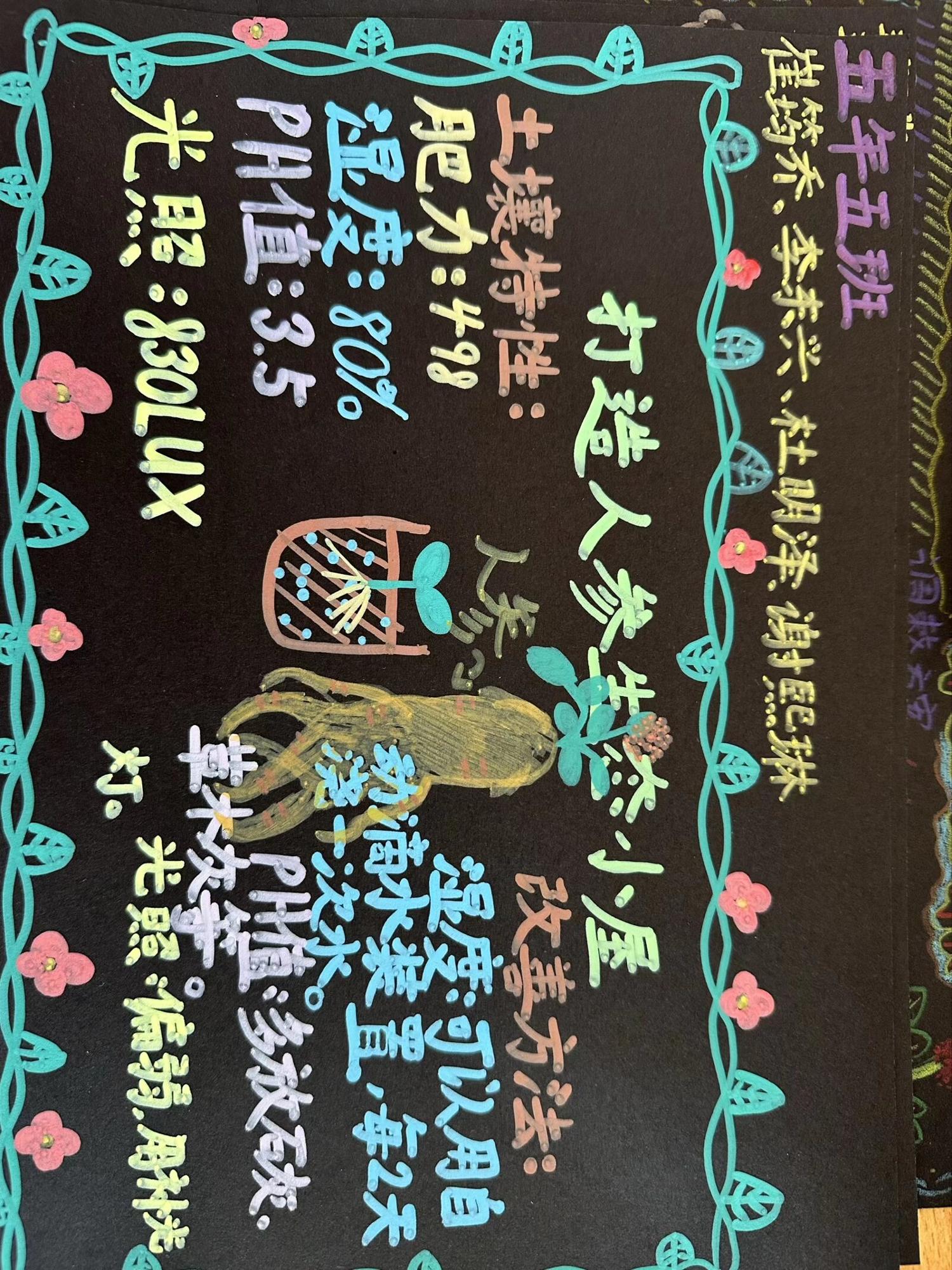照片